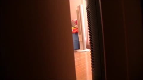 【最新作】C妹の着替えを隠し撮りしました