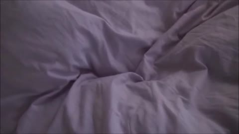 【激アツ】スペシャルコンテンツ４人分