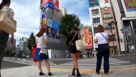 素敵なお姉さん勃ち シーズン4 StickyAss Vol.85