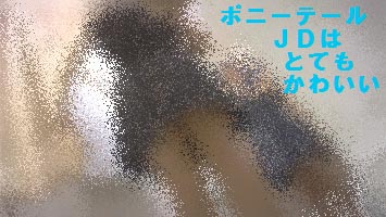 (レア作品)某アパレル試着室5 ポニーテールでお嬢様風な雰囲気