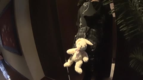 小動物のような可愛らしい美少女がキャン２喘ぎまくりセックス