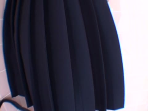 トイレに追い込んだ中●生少女をレイプ