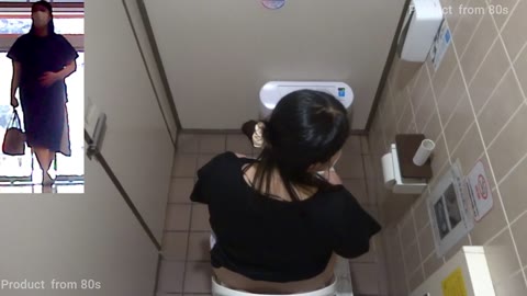 HD Japanese Toilet Style.265