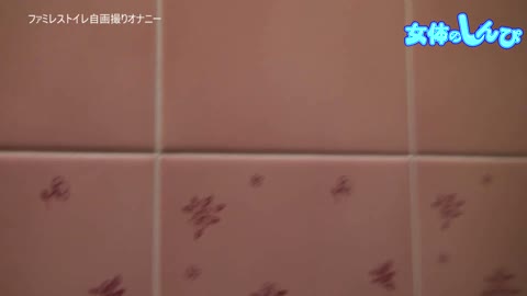 女体のしんぴ-538 あげは / ファミレストイレ自画撮りオナニー
