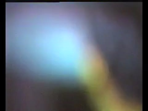 【無】　小さな恋人　【旧作】