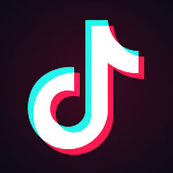 【保存必至】炉の黒歴史TikTok【イケナイ子】